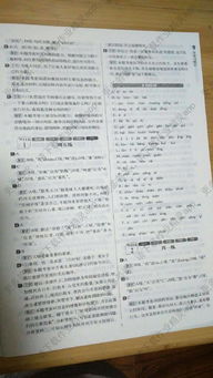 語(yǔ)文基礎知識題及答案,語(yǔ)文語(yǔ)法基礎知識,語(yǔ)文基礎知識題庫