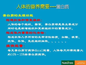 營(yíng)養學(xué)的基礎知識,運動(dòng)營(yíng)養學(xué)基礎知識,健身營(yíng)養學(xué)基礎知識