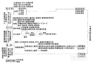 高中各科基礎知識如何學(xué)好