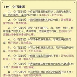 如何整理初中語(yǔ)文基礎知識