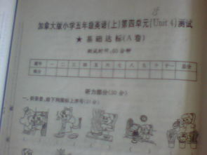 五級,基礎知識,試卷,答案