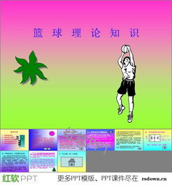 籃球基礎知識ppt設計
