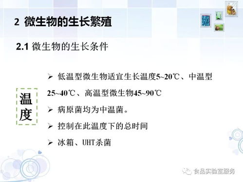 微生物,基礎知識,檢測,食品