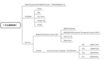 知識點(diǎn),數據庫,基礎