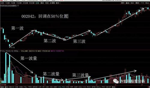 股票量化分析基礎(chǔ)知識(shí)