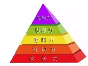 青少基礎理論知識