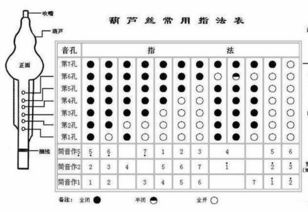 初學(xué)者葫蘆絲樂(lè )理基礎知識