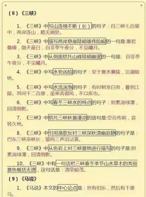 初中階段語(yǔ)文基礎知識
