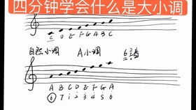 基礎樂(lè )理知識分課
