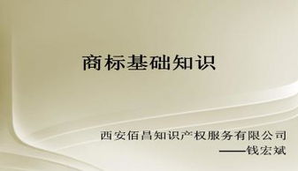 商標業(yè)務(wù)基礎知識