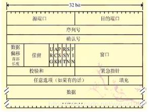 基礎知識,服務(wù)器,web,html