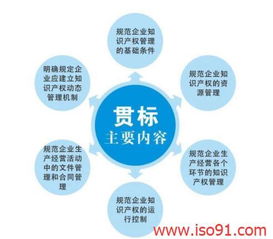 企業(yè)產(chǎn)權管理基礎知識