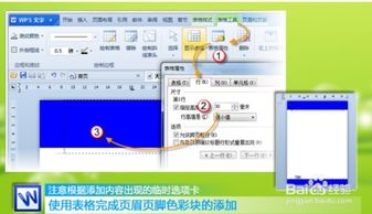 wps排版基礎知識