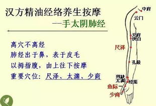 什么叫中醫基礎知識