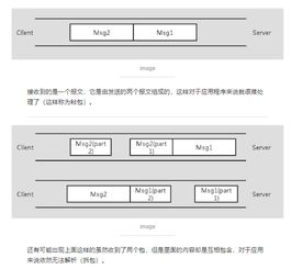 計算機網(wǎng)絡(luò )基礎知識核心考點(diǎn)