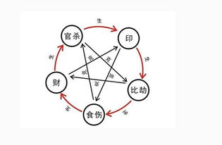 神相知識基礎