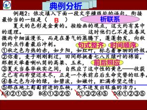銜接,語(yǔ)句,基礎知識,排序