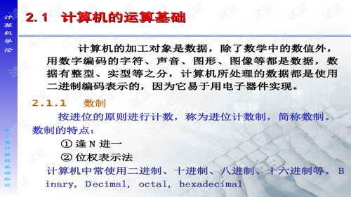 計算機應用基礎第二章知識重點(diǎn)