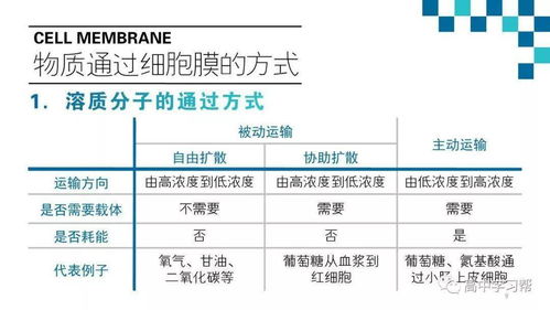 基礎知識,生物,醫學(xué)
