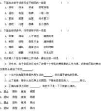 高三語(yǔ)文基礎知識整理,高三語(yǔ)文基礎知識測試,高三語(yǔ)文語(yǔ)音基礎知識教案
