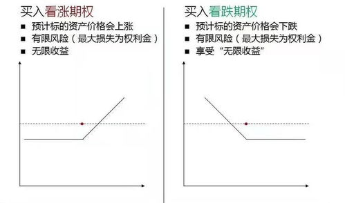 商品期權基礎知識答案