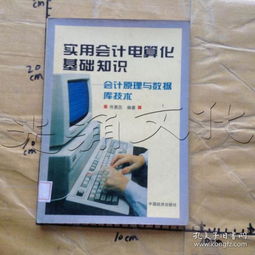 會(huì )計電算化基礎理論知識和專(zhuān)業(yè)技能