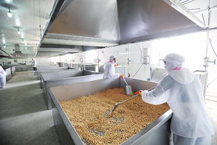 農產(chǎn)品加工業(yè)基礎知識