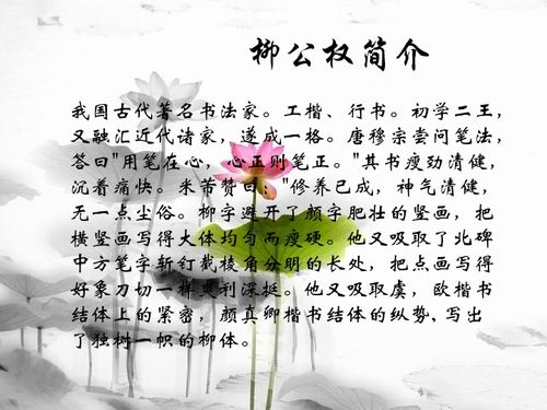 基礎知識,書(shū)法,小學(xué)生,ppt