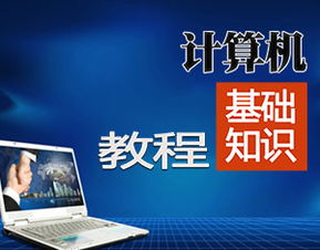 免費(fèi)的計(jì)算機(jī)入門(mén)基礎(chǔ)知識(shí)教程全集
