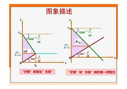 高一物理動(dòng)量基礎知識