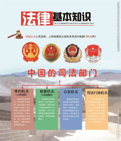 法律基礎知識簡(jiǎn)報