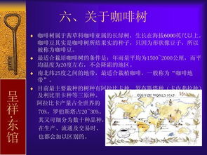 基礎知識,入門(mén),咖啡