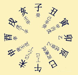 八字自備基礎知識