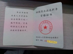 初級助理工程師職業(yè)基礎知識