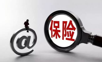 保險公司條款基礎知識