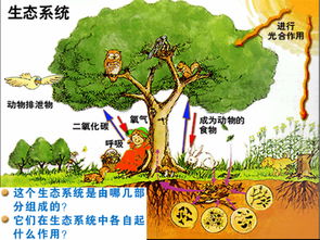 醫療公共衛生基礎知識,公共衛生基礎知識題庫,公共衛生基礎知識考試題庫