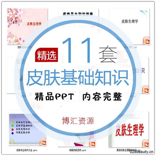 皮膚基礎知識課件