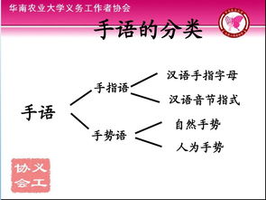 初級手語(yǔ)基礎知識