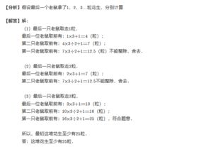 小學(xué)數學(xué)數論基礎知識