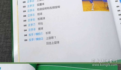 小學(xué)乒乓球基礎知識教學(xué)設計