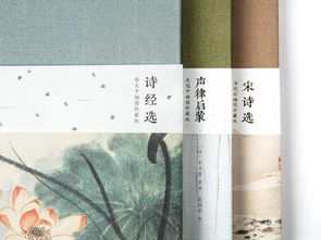 2018最美長(cháng)安詩(shī)詞基礎知識