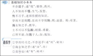 人教版,基礎知識,匯總,語(yǔ)文