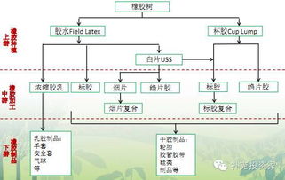 天然橡膠交易基礎知識